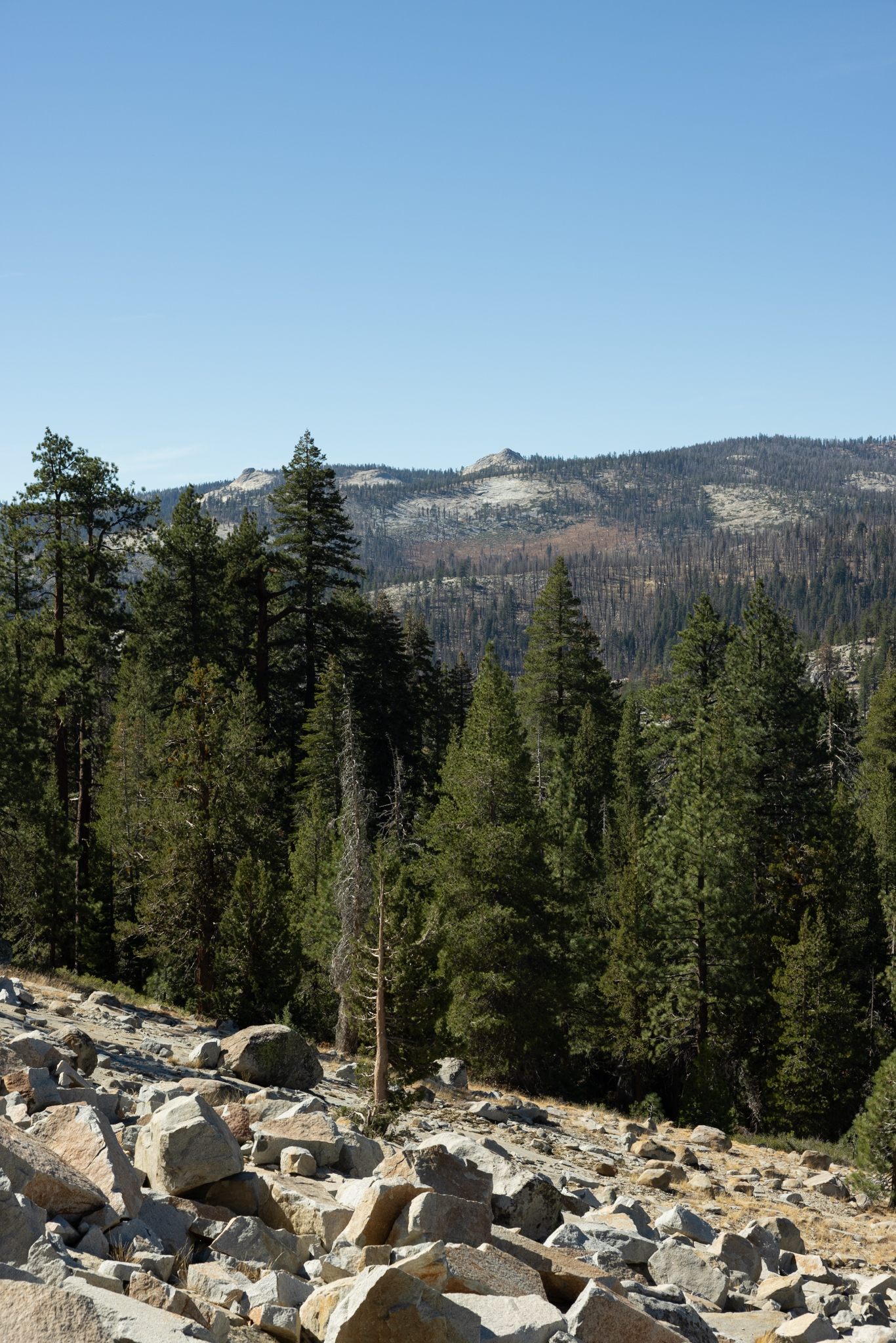 California 06