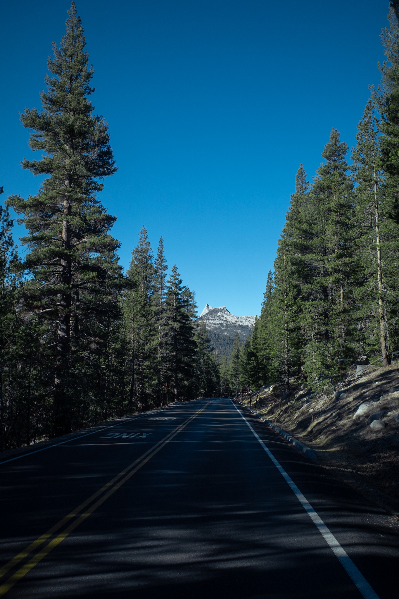 California 07